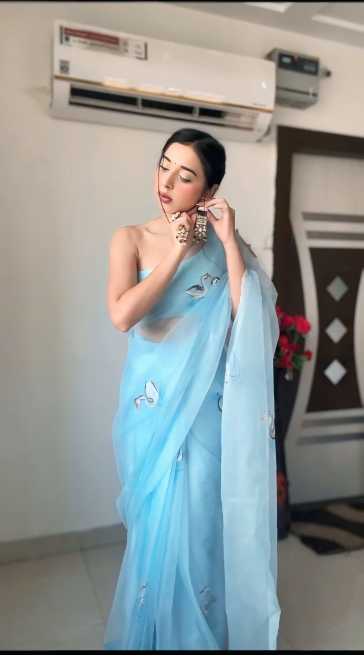 Sky Blue Organza Printed Saree with Matching Organza Blouse Piece