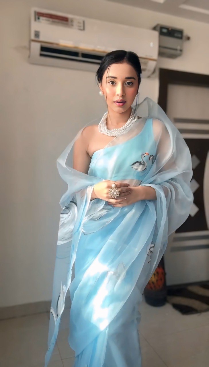 Sky Blue Organza Printed Saree with Matching Organza Blouse Piece